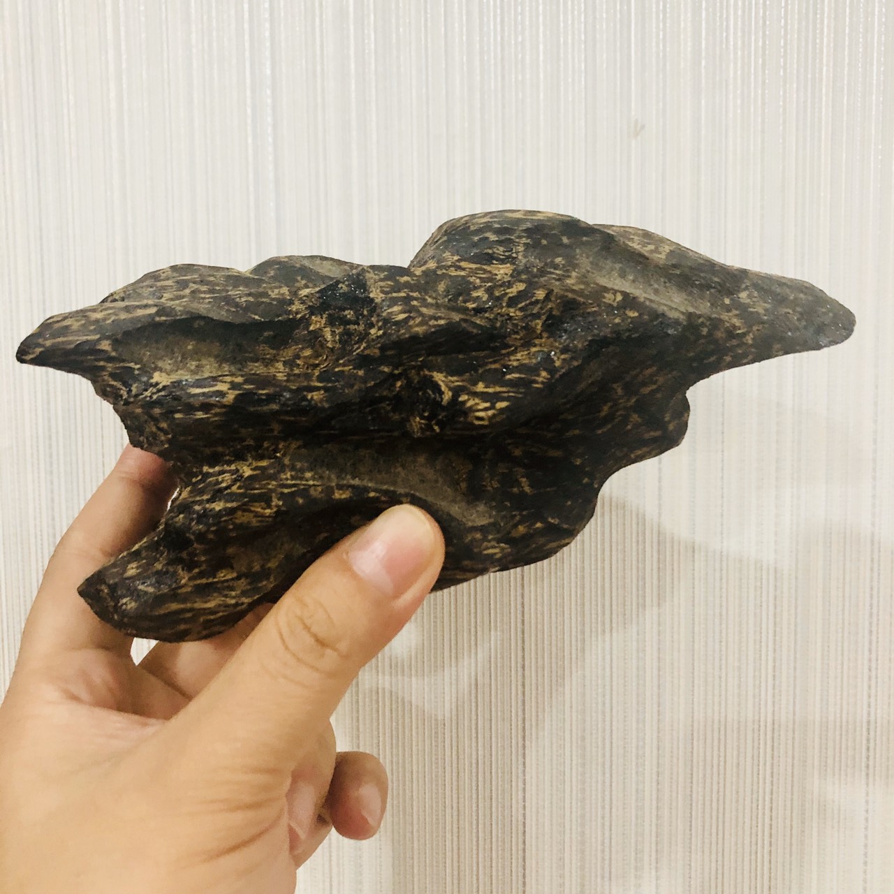 Tinh dầu trầm hương Agarwood cao cấp nguyên chất - Premium Grade Agarwood Essential Oil, tinh dầu xông nhà, tinh dầu thơm nhà