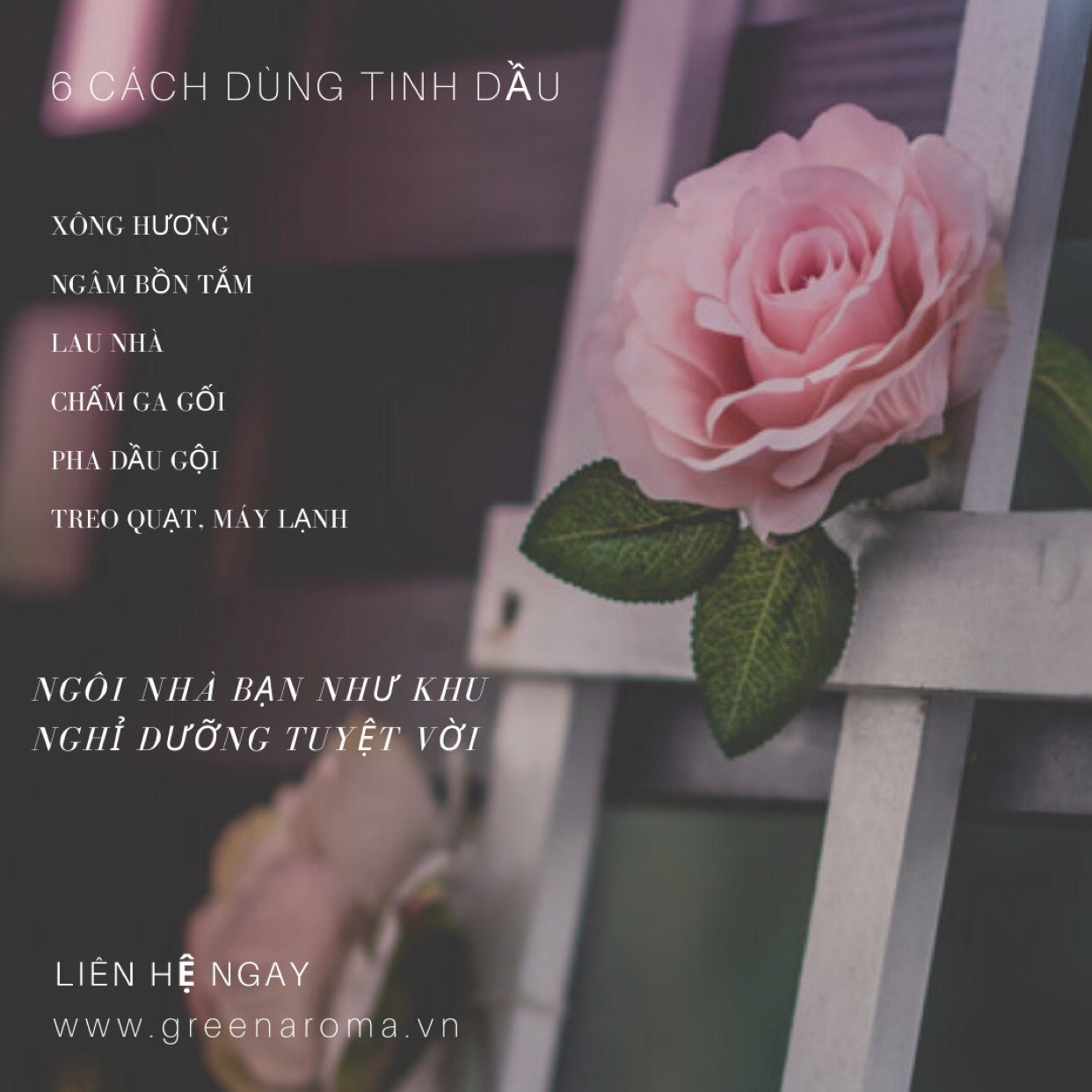 Tinh hương trái cây - Tinh hương Đào Peach