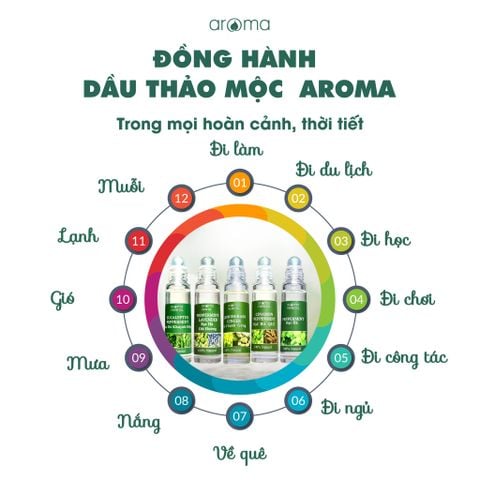 DẦU THẢO MỘC AROMA BẠC HÀ KHUYNH DIỆP – DẦU NÓNG – DẦU GIÓ THƠM - DẦU XOA BÓP