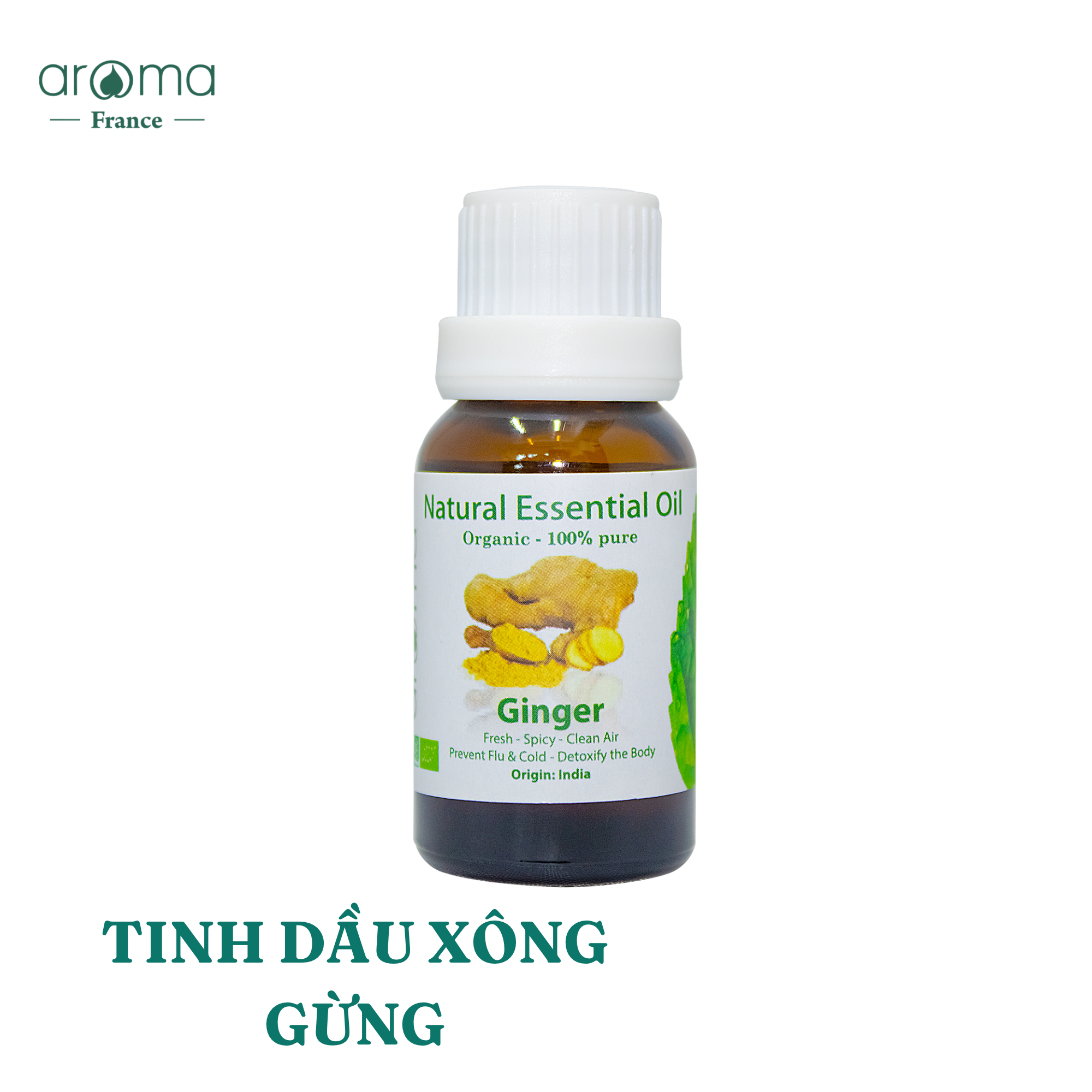 Tinh Dầu Gừng Thiên Nhiên - Tinh Dầu Aroma GINGER