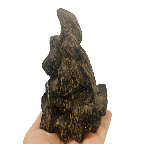 Tinh dầu trầm hương Agarwood cao cấp nguyên chất - Premium Grade Agarwood Essential Oil, tinh dầu xông nhà, tinh dầu thơm nhà