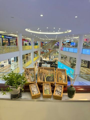 Bộ quà Phong Thủy Hương Thơm – Tinh dầu & sách trị liệu năng lượng
