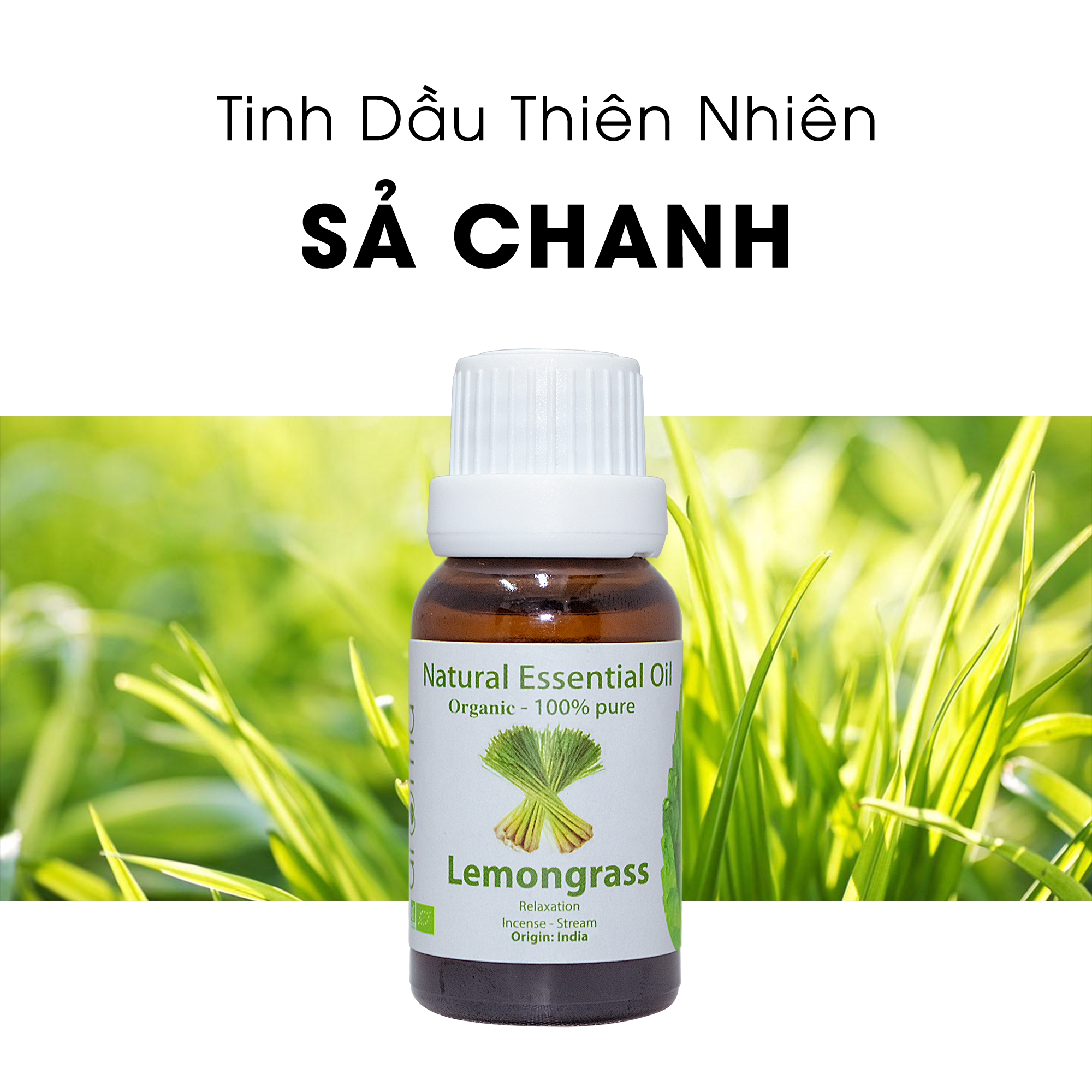 Tinh Dầu Thiên Nhiên Sả Chanh Tây Ấn - Lemongrass Essential OIl - Tinh dầu sả chanh, tinh dầu xông nhà, tinh dầu thơm nhà