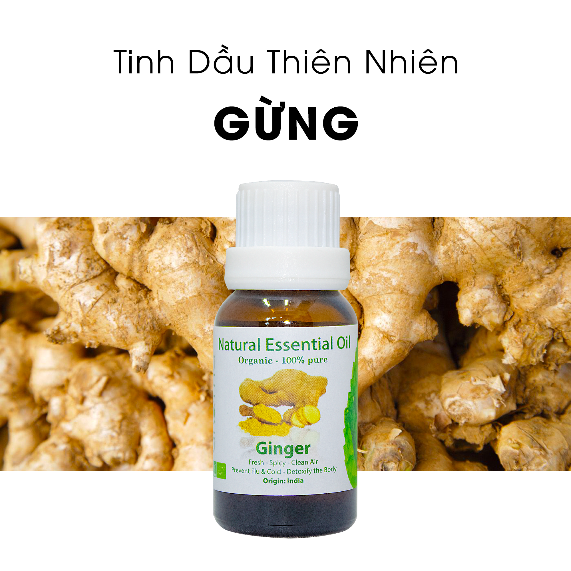 Tinh Dầu Thiên Nhiên Gừng - Ginger Essential Oil - tinh dầu xông nhà, tinh dầu thơm nhà