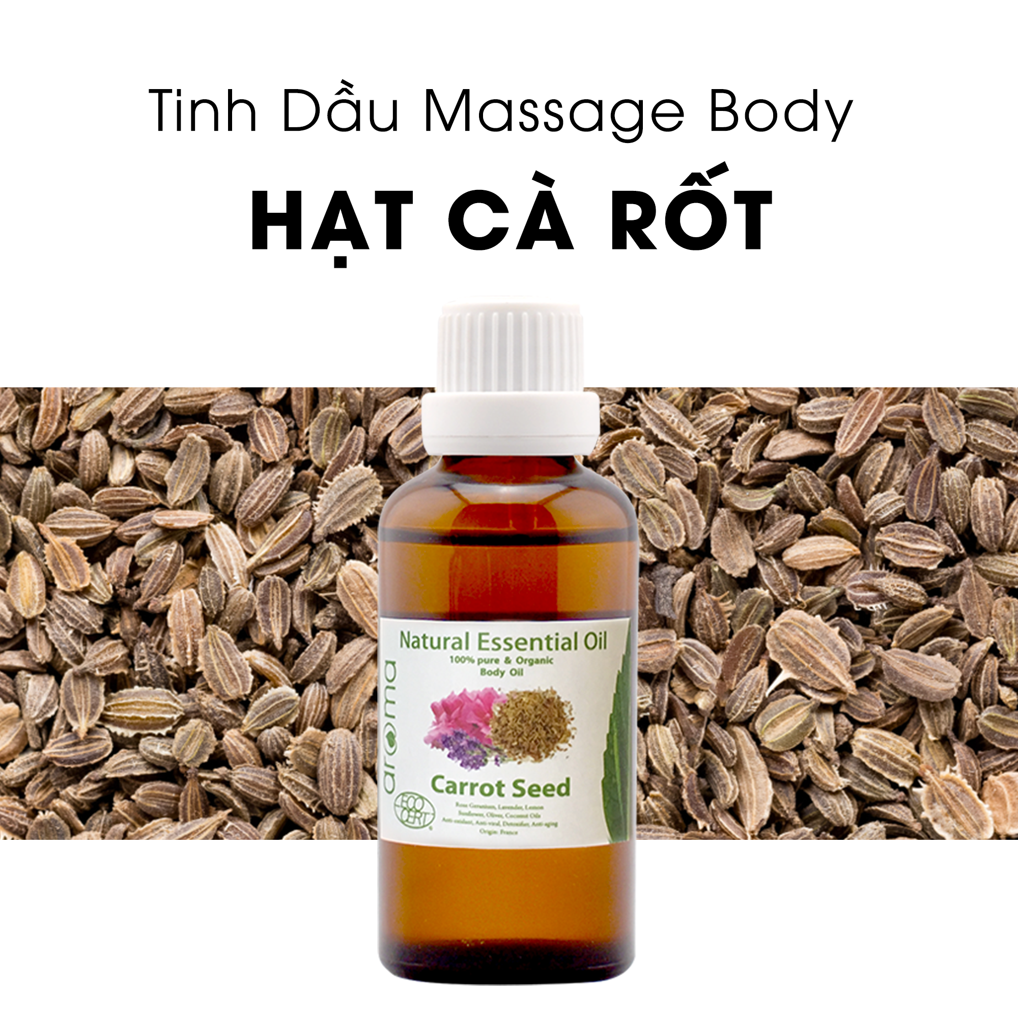 Tinh dầu massage body Hạt cà rốt hoang Body Oil