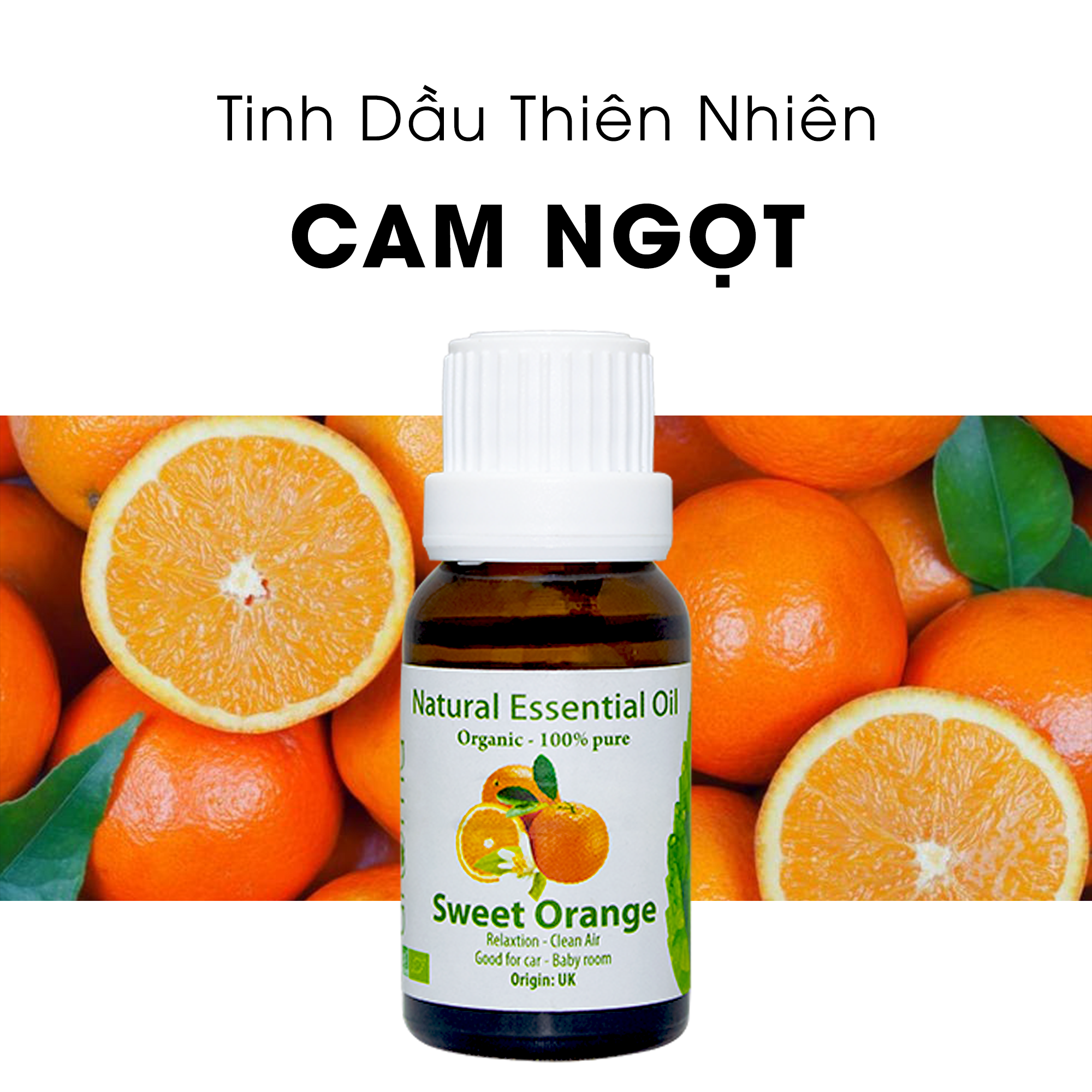 Tinh Dầu Cam Ngọt Nguyên Chất – Giảm Căng Thẳng, Xông Thơm Phòng, Ngủ Ngon