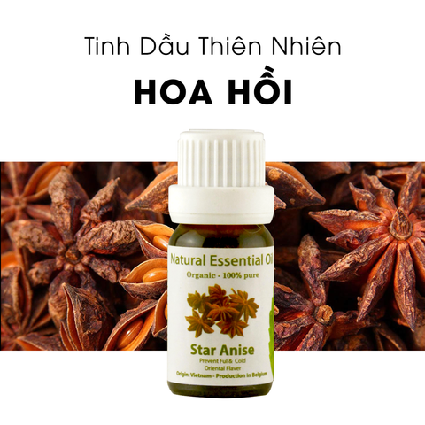 Tinh Dầu Thiên Nhiên Hoa Hồi - Star Anise Essential Oil - tinh dầu xông nhà, tinh dầu thơm nhà