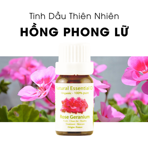 Tinh Dầu Thiên Nhiên Hồng Phong Lữ - Rose Geranium Essential Oil - tinh dầu xông nhà, tinh dầu thơm nhà