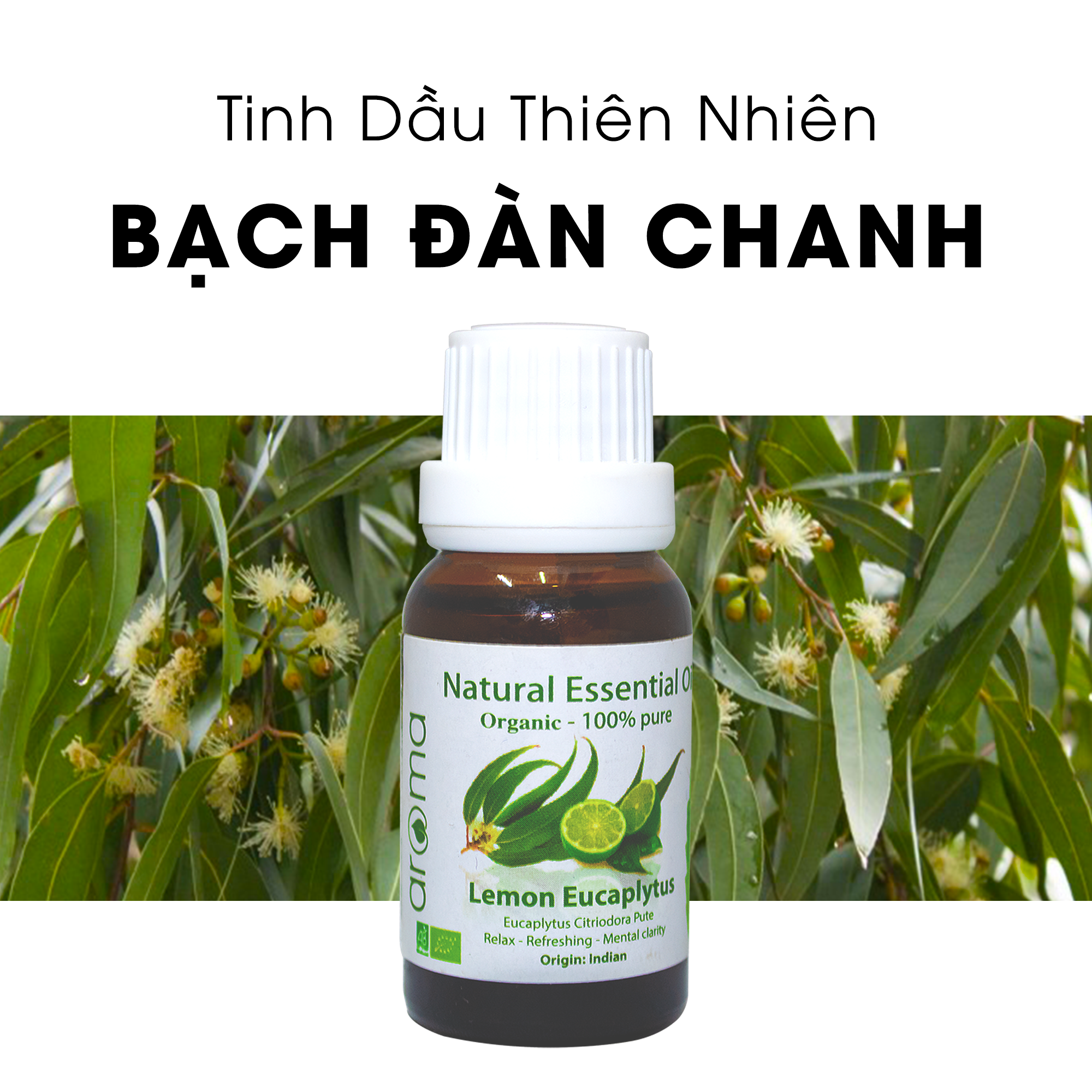 Tinh Dầu Bạch Đàn Chanh Ấn Độ – Kháng Khuẩn Mạnh, Làm Sạch Không Khí, Giảm Căng Thẳng