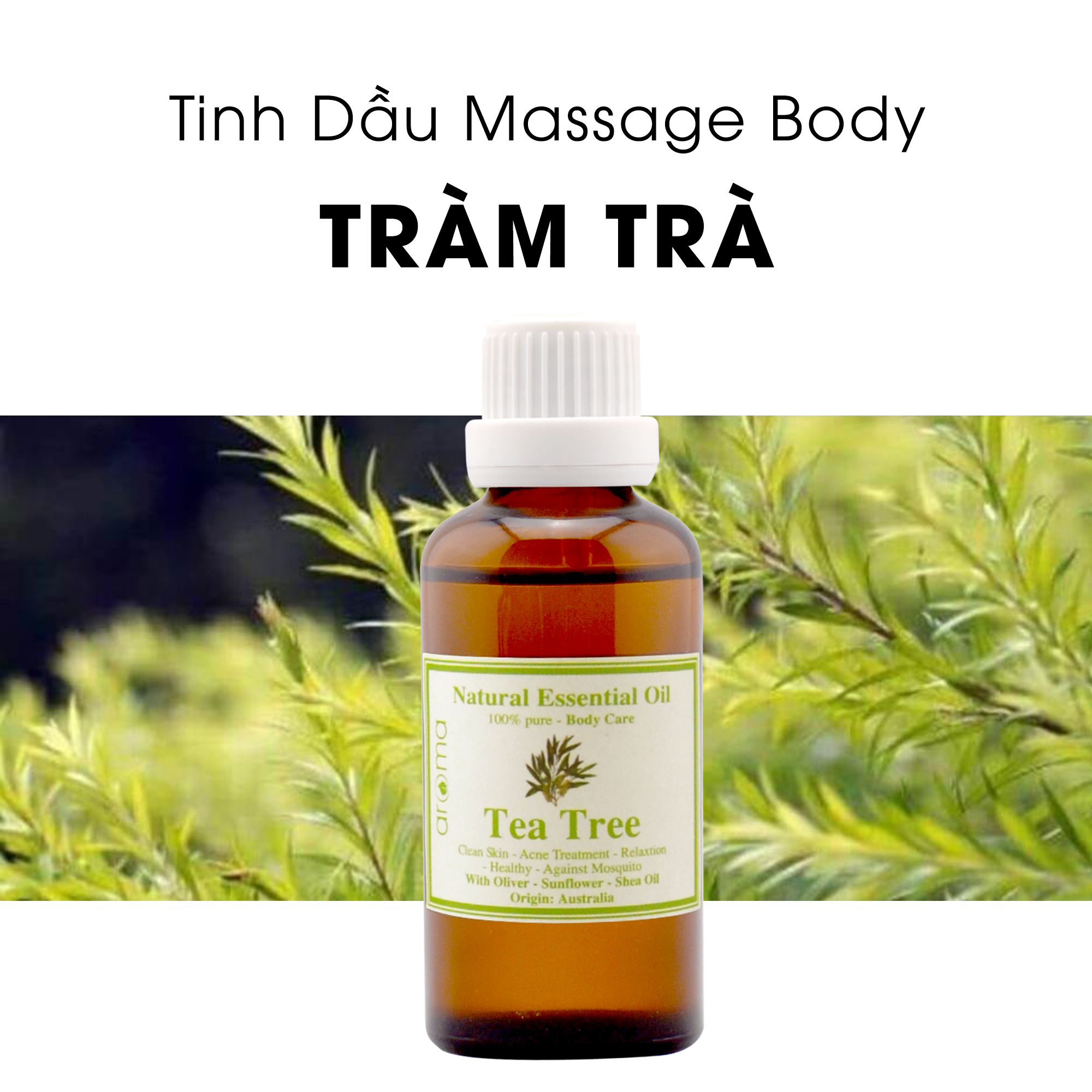 Tinh dầu massage body Tràm trà Úc - Tea Tree Body Oil