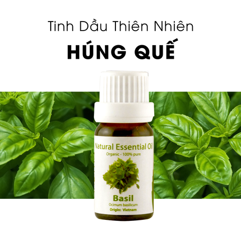 Tinh Dầu Thiên Nhiên Húng Quế - Basil Essential Oil - tinh dầu xông nhà, tinh dầu thơm nhà