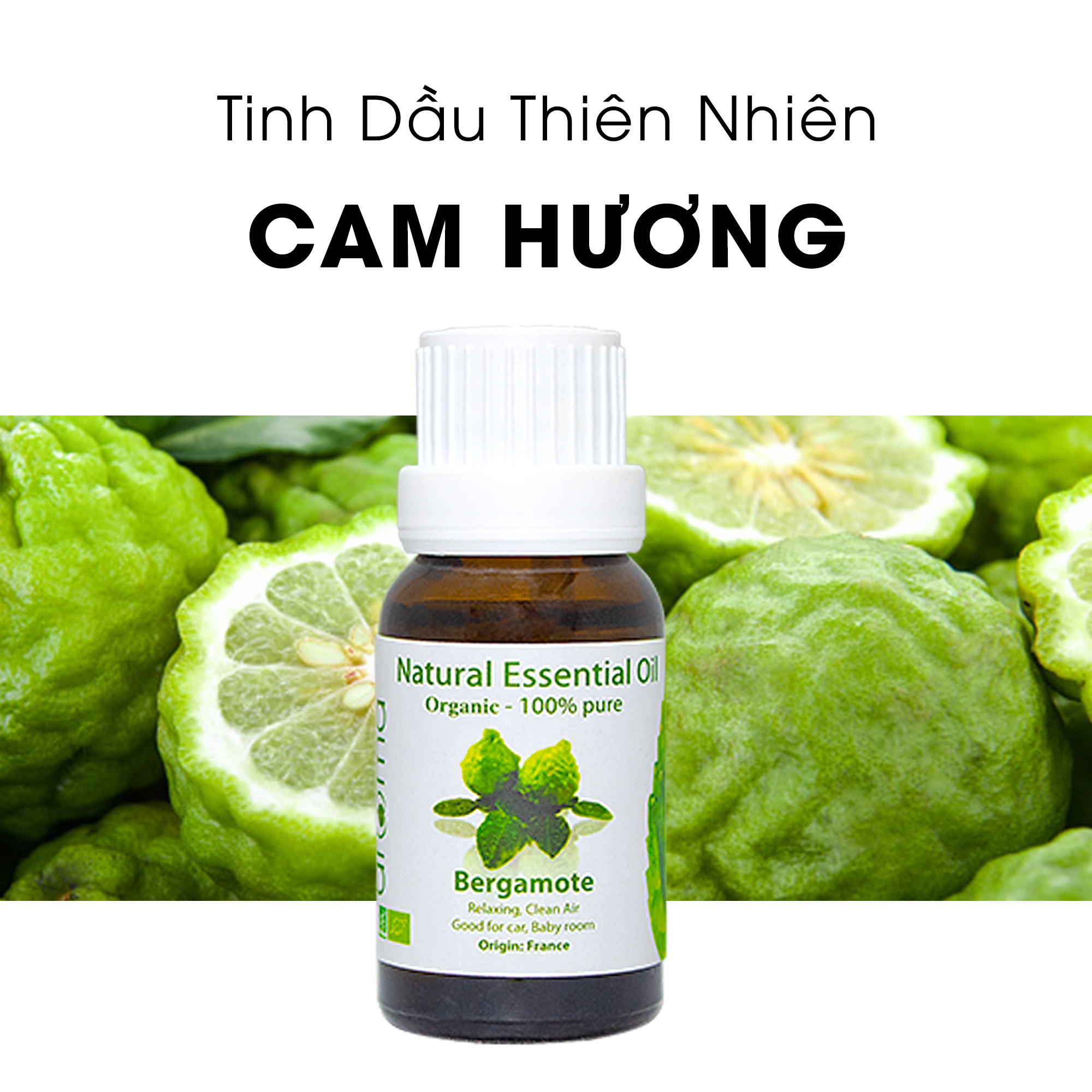 Tinh Dầu Thiên Nhiên Cam Hương - Bergamote Essential Oil - tinh dầu xông nhà, tinh dầu thơm nhà