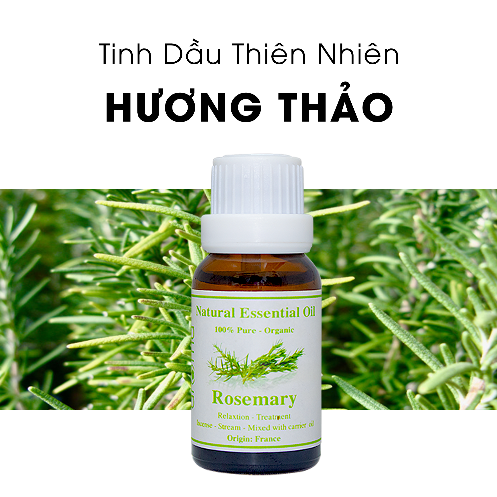 Tinh Dầu Thiên Nhiên Hương Thảo - Rosemary Essential Oil - tinh dầu xông nhà, tinh dầu thơm nhà