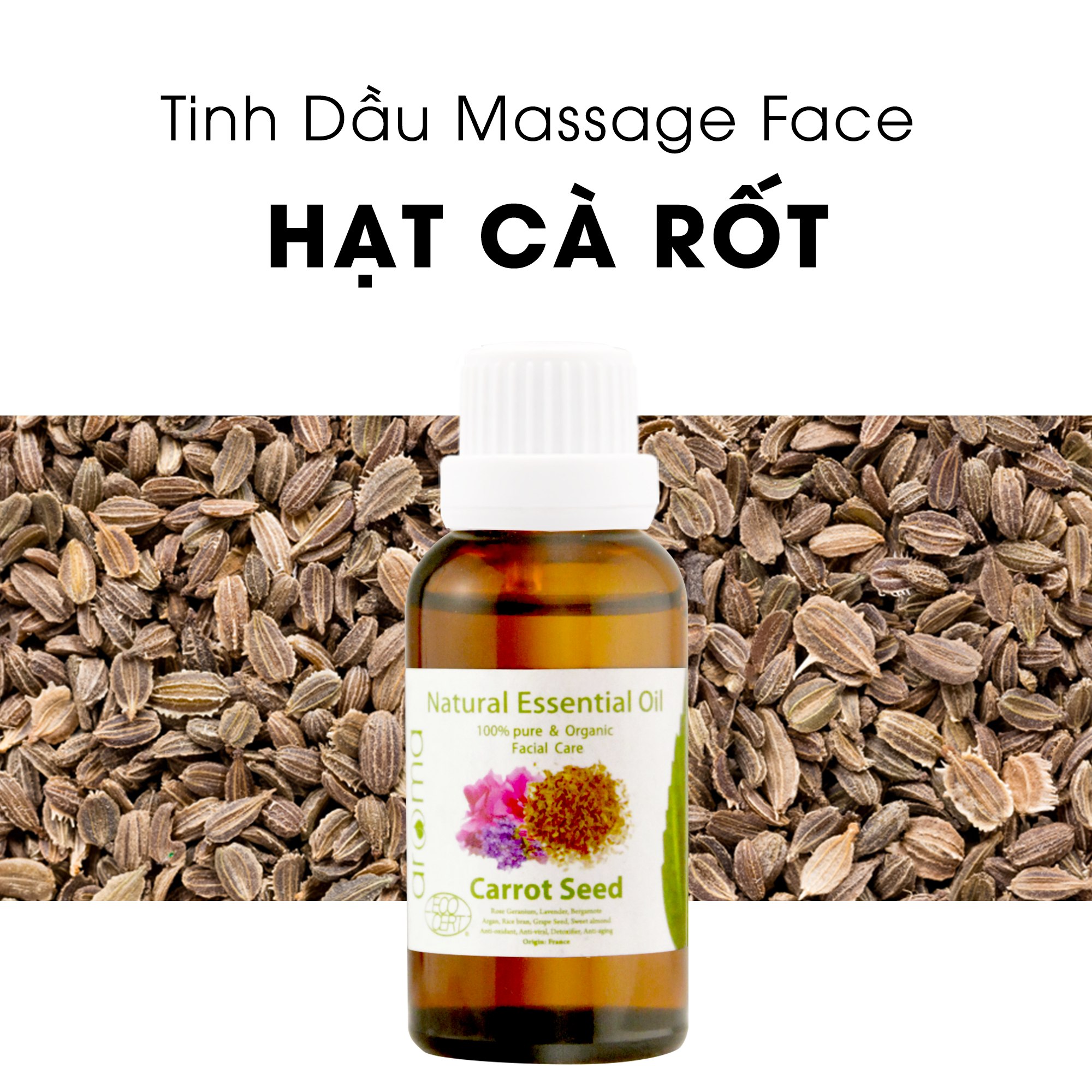 Tinh dầu massage mặt hạt Cà rốt - Carrot Seed Facial Oil - Dầu dưỡng da mặt - Dầu chống nhăn - Dầu sáng da