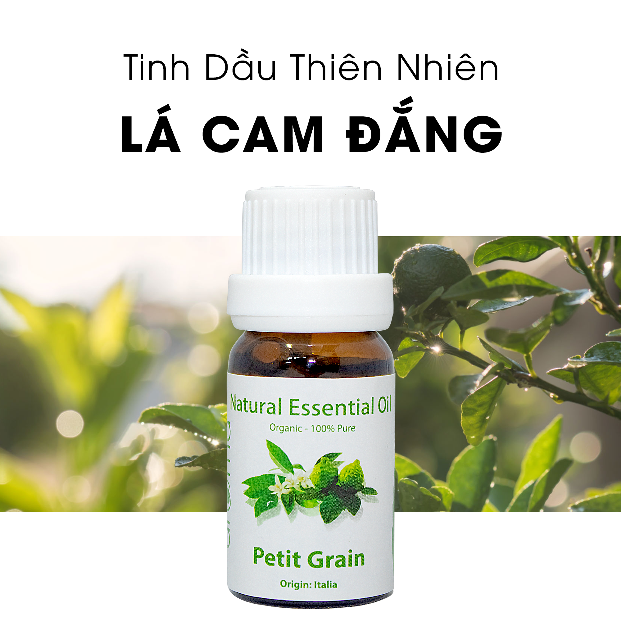 Tinh Dầu Thiên Nhiên Lá Cam Đắng - Petitgrain Essential Oil, tinh dầu xông nhà, tinh dầu thơm nhà