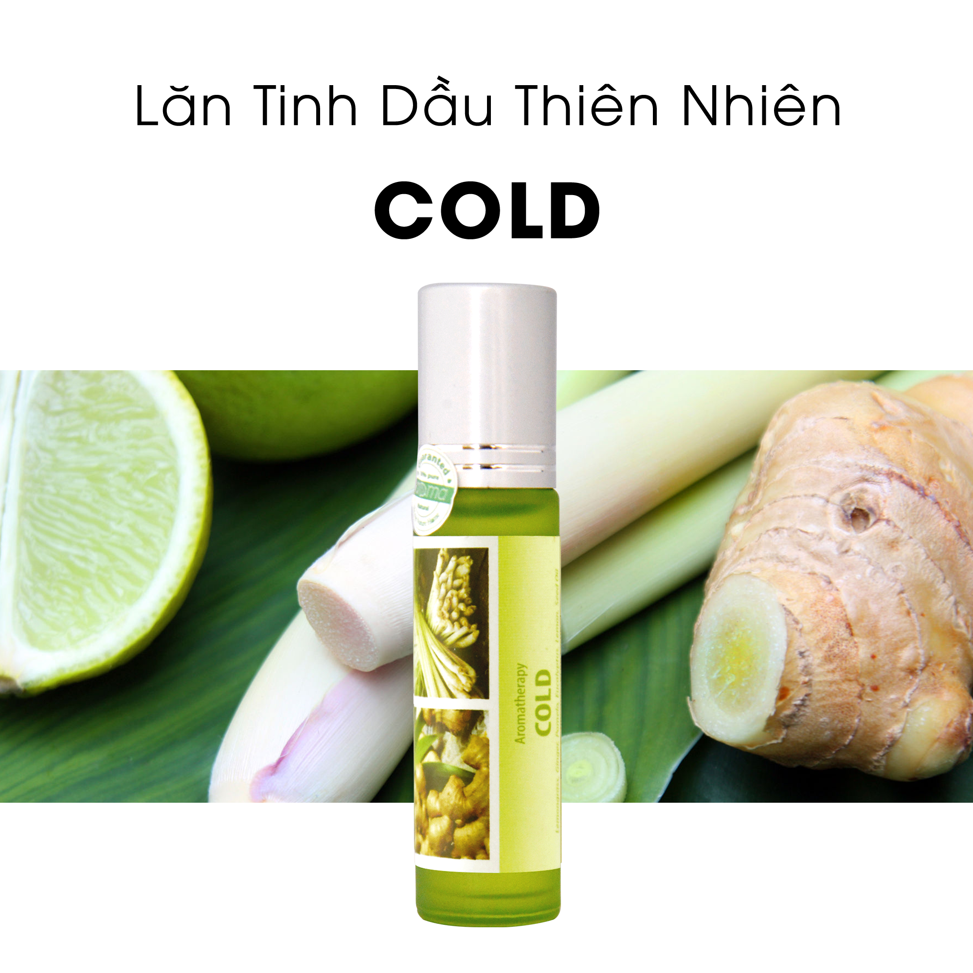 Lăn tinh dầu thiên nhiên Chống cảm lạnh - Sả Gừng - Cold Roll On - Dầu thảo mộc - Dầu gió