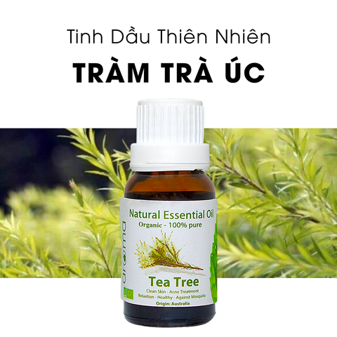 Tinh Dầu Thiên Nhiên Tràm Trà Úc - Tea Tree Essential Oil - Tinh dầu tràm trà, tinh dầu xông nhà, tinh dầu thơm nhà