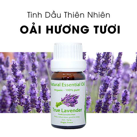 Tinh Dầu Thiên Nhiên Oải Hương Pháp - True Lavender Essential Oil - Tinh dầu oải hương, tinh dầu xông nhà, tinh dầu thơm nhà