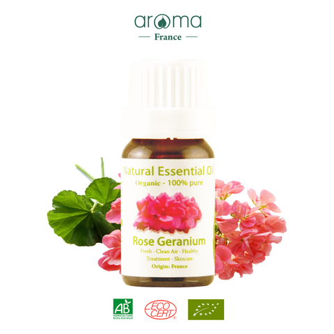 Tinh Dầu Thiên Nhiên Hồng Phong Lữ - Rose Geranium Essential Oil - tinh dầu xông nhà, tinh dầu thơm nhà