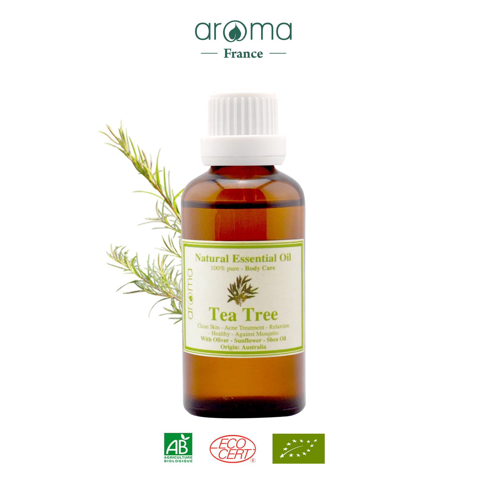 Tinh dầu massage body Tràm trà Úc - Tea Tree Body Oil