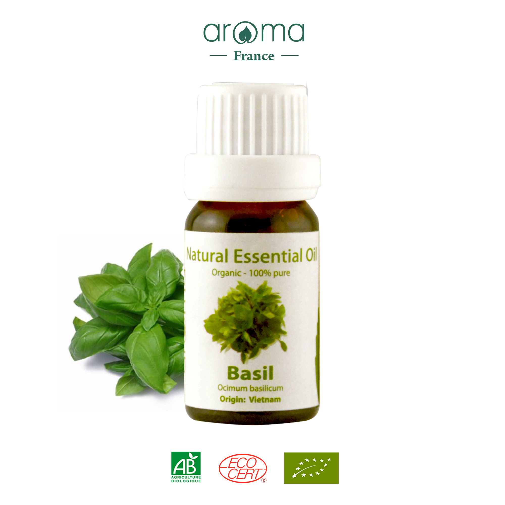 Tinh Dầu Thiên Nhiên Húng Quế - Basil Essential Oil - tinh dầu xông nhà, tinh dầu thơm nhà