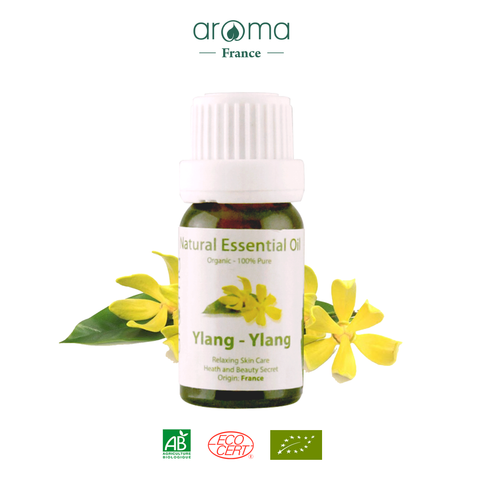 Tinh Dầu Ngọc Lan Tây Aroma Ylang Ylang – Thư Giãn, Cải Thiện Giấc Ngủ và Làm Sạch Không Gian