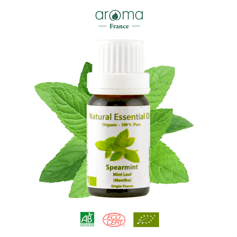 Tinh Dầu Thiên Nhiên Bạc Hà Lá Dài - Spearmint Essential Oil - Tinh dầu bạc hà, tinh dầu xông nhà, tinh dầu thơm nhà