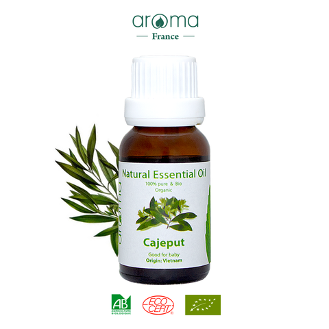 Tinh Dầu Thiên Nhiên Tràm Gió - Cajeput Essential Oil - tinh dầu tràm, tinh dầu xông nhà, tinh dầu thơm nhà