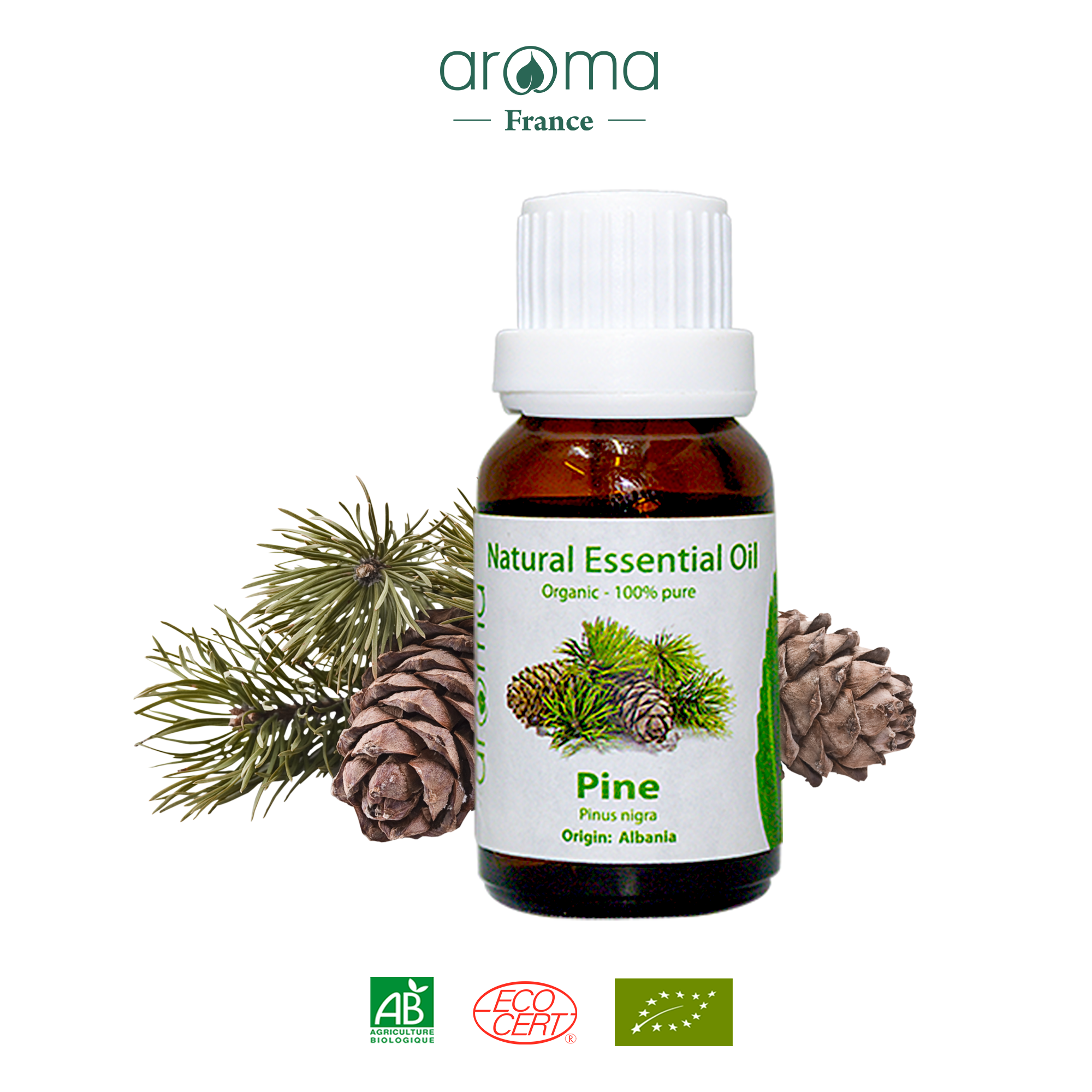 Tinh Dầu Thiên Nhiên Thông Xanh - Pine Essential Oil - tinh dầu xông nhà, tinh dầu thơm nhà