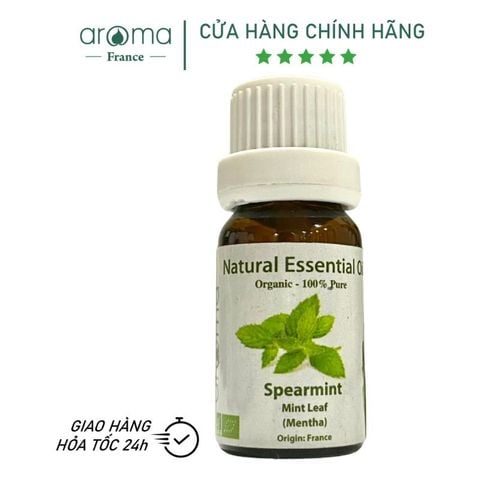 Tinh Dầu Thiên Nhiên Bạc Hà Lá Dài - Spearmint Essential Oil - Tinh dầu bạc hà, tinh dầu xông nhà, tinh dầu thơm nhà