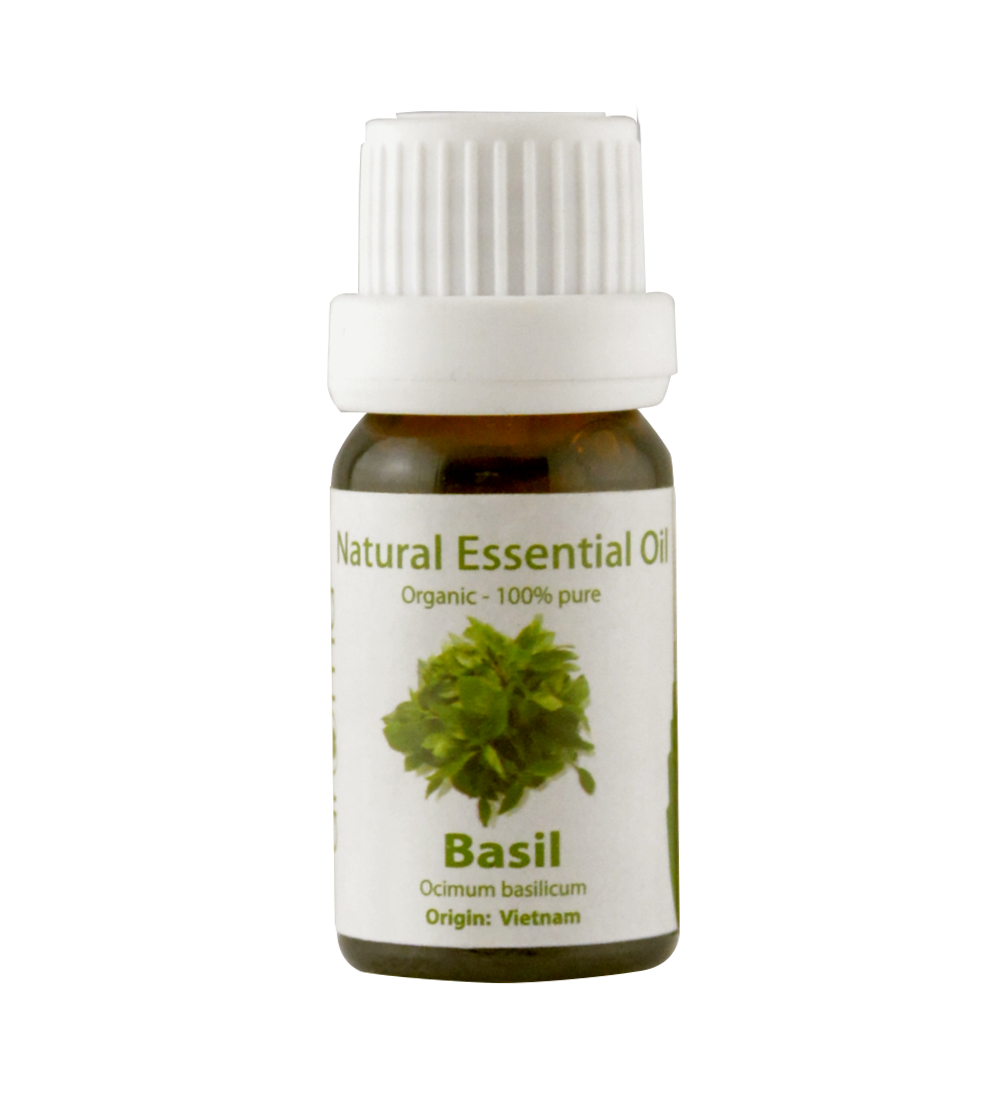 Tinh Dầu Thiên Nhiên Húng Quế - Basil Essential Oil - tinh dầu xông nhà, tinh dầu thơm nhà