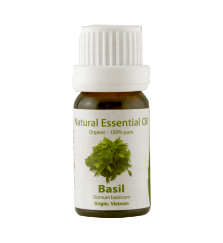 Tinh Dầu Thiên Nhiên Húng Quế - Basil Essential Oil - tinh dầu xông nhà, tinh dầu thơm nhà