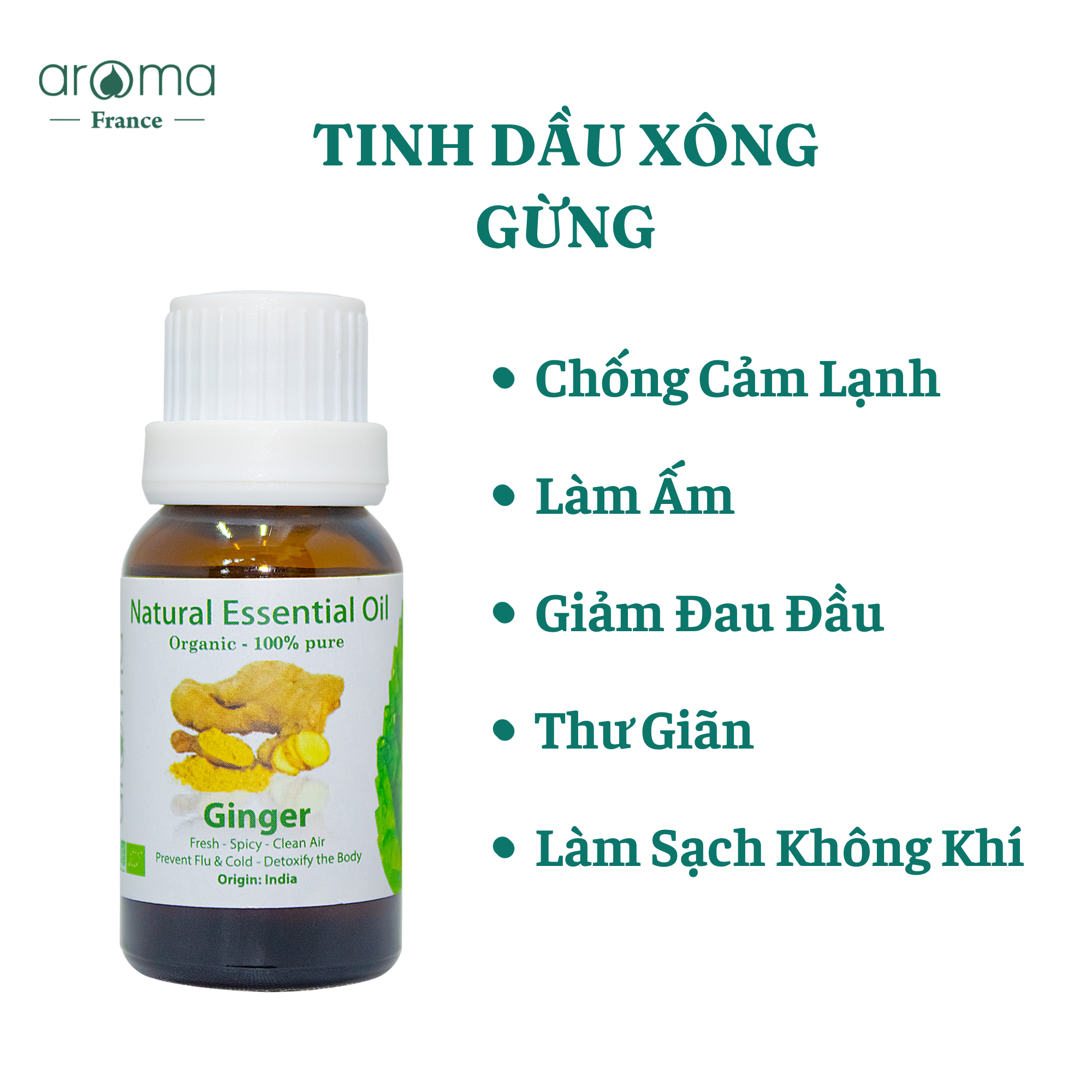 Tinh Dầu Gừng Thiên Nhiên - Tinh Dầu Aroma GINGER