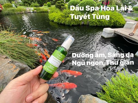 Tinh dầu massage body Hoa lài & Gỗ - Jasmine & Wood Body Oil