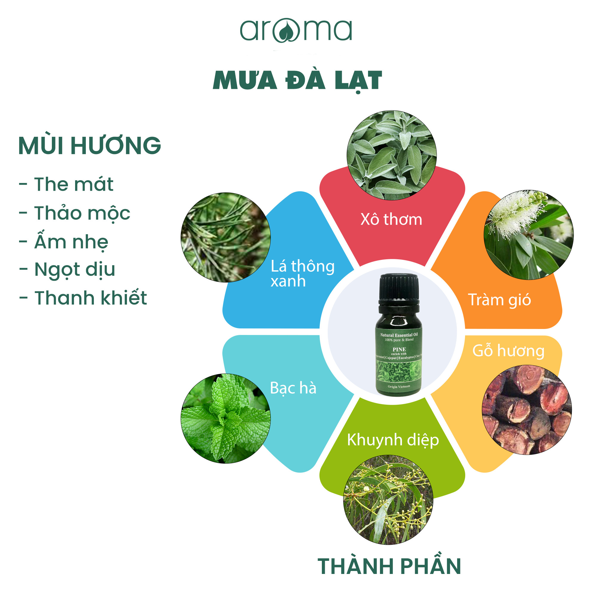 Tinh dầu lá thông xanh, bạc hà, xô thơm, khuynh diệp, gỗ hương - Hương Mưa Đà Lạt