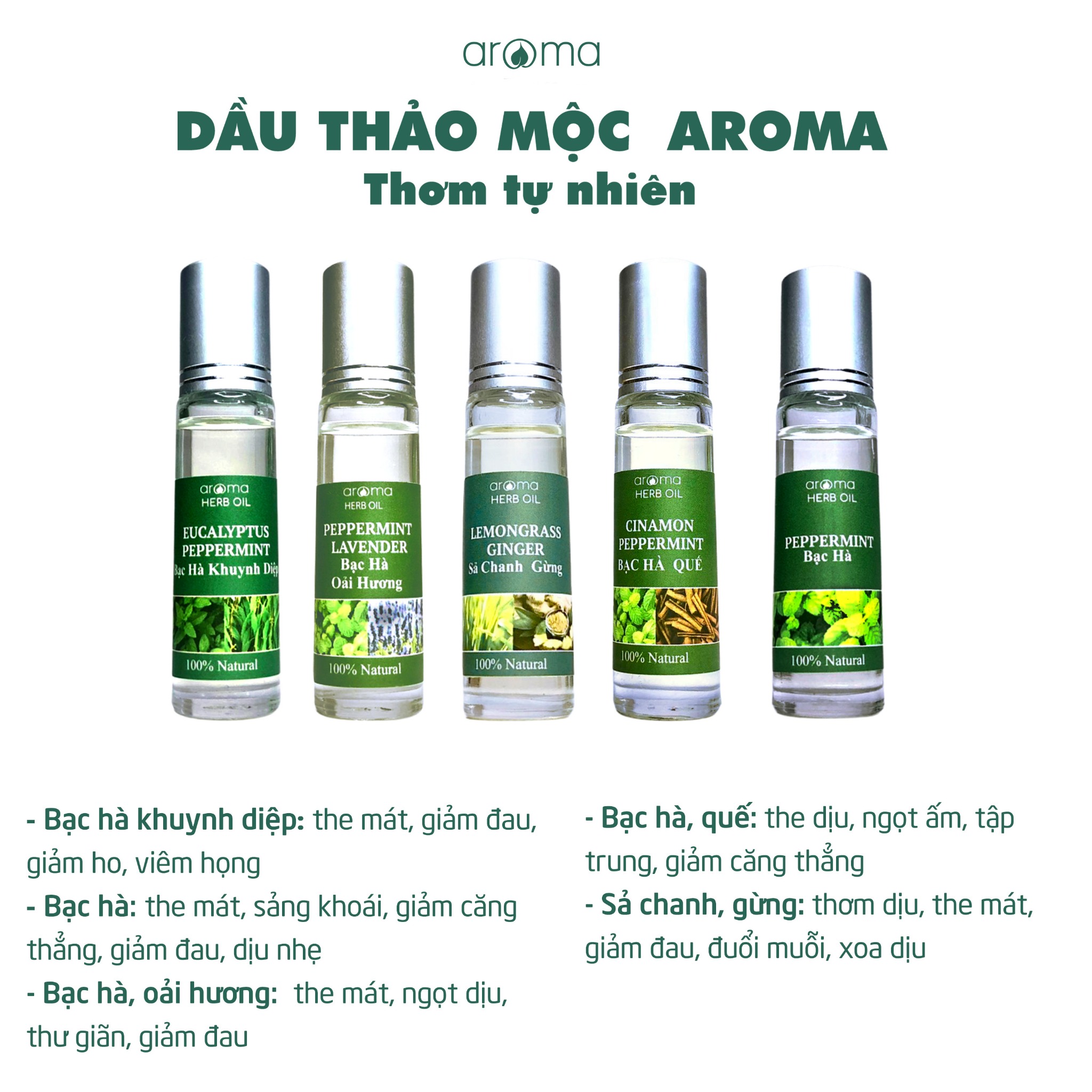 DẦU THẢO MỘC AROMA BẠC HÀ – DẦU NÓNG – DẦU GIÓ THƠM  - DẦU XOA BÓP