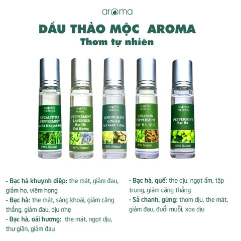 DẦU THẢO MỘC AROMA SẢ CHANH GỪNG – DẦU NÓNG – DẦU GIÓ THƠM - DẦU XOA BÓP