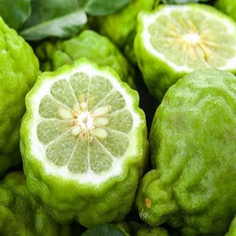 Tinh Dầu Thiên Nhiên Thảo Quả - Fresh Garden Essential Oil - tinh dầu xông nhà, tinh dầu thơm nhà