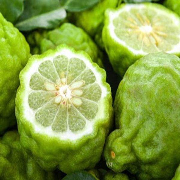 Tinh Dầu Hữu Cơ Vỏ Bưởi Hồng - Eco Grapefruit Essential Oil - tinh dầu xông nhà, tinh dầu thơm nhà