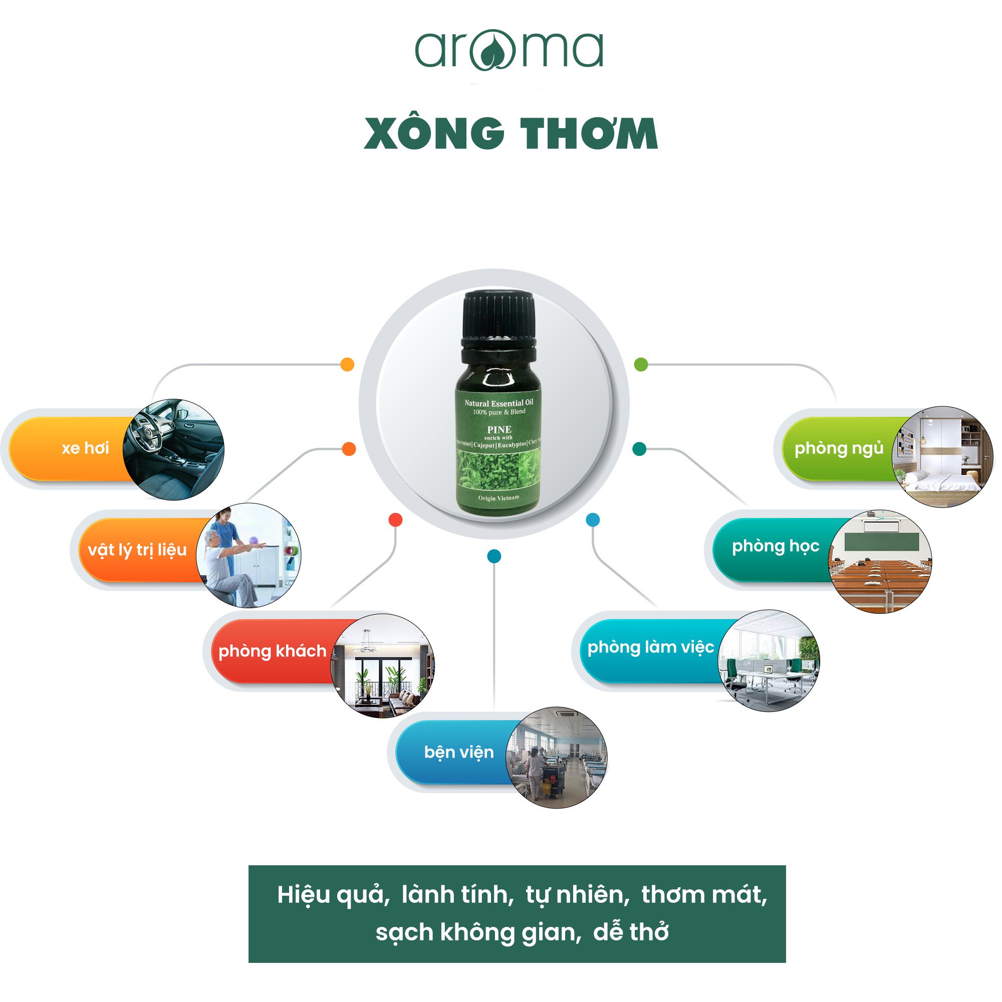 Tinh dầu lá thông xanh, bạc hà, xô thơm, khuynh diệp, gỗ hương - Hương Mưa Đà Lạt