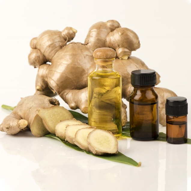 Tinh dầu Gừng Việt Nam xuất khẩu - Vietnam Ginger Essential Oil - tinh dầu xông nhà, tinh dầu thơm nhà