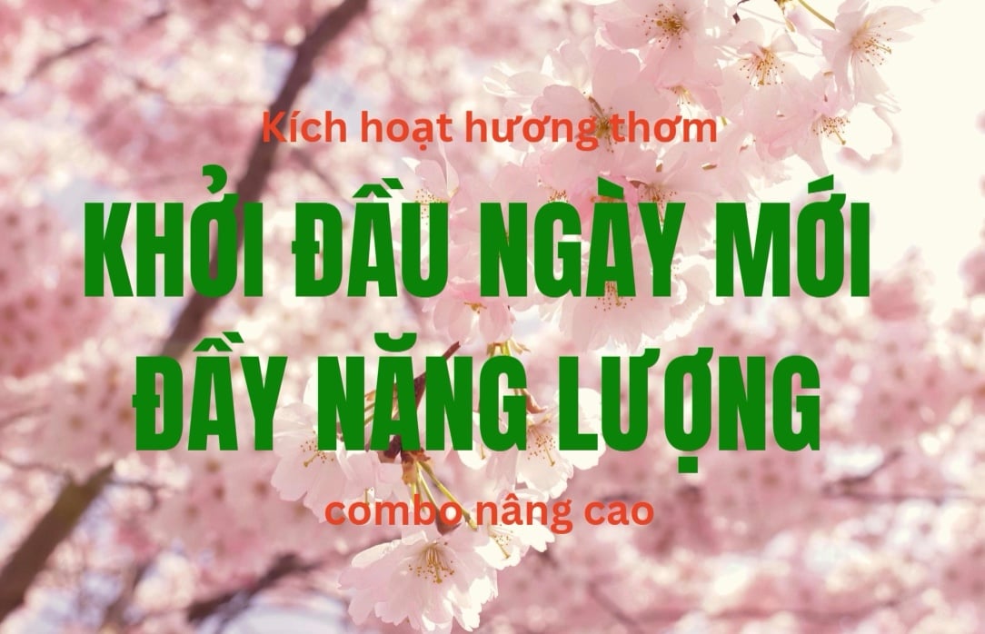 Combo Tinh Dầu Khởi Đầu Ngày Mới  – Tỉnh Táo & Năng Lượng