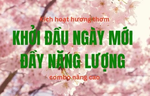 Combo Tinh Dầu Khởi Đầu Ngày Mới  – Tỉnh Táo & Năng Lượng
