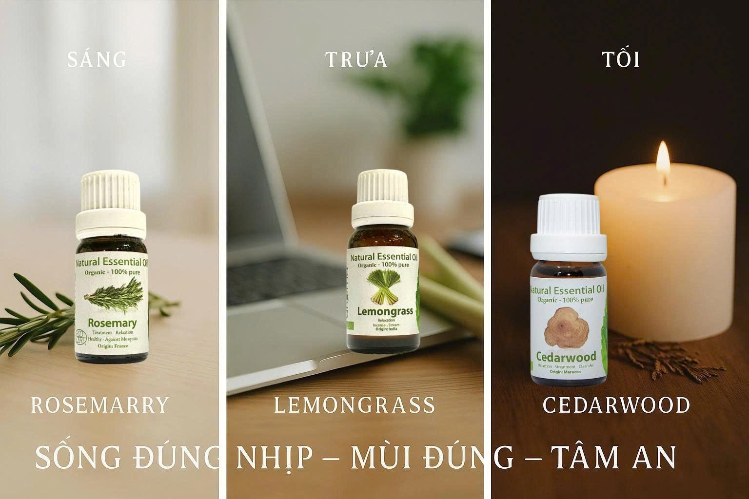 BỘ TINH DẦU LÀM MÁT MÙA HÈ | Giải pháp tự nhiên từ Aroma