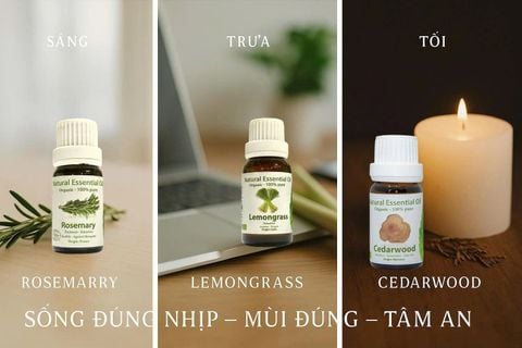 BỘ TINH DẦU LÀM MÁT MÙA HÈ | Giải pháp tự nhiên từ Aroma