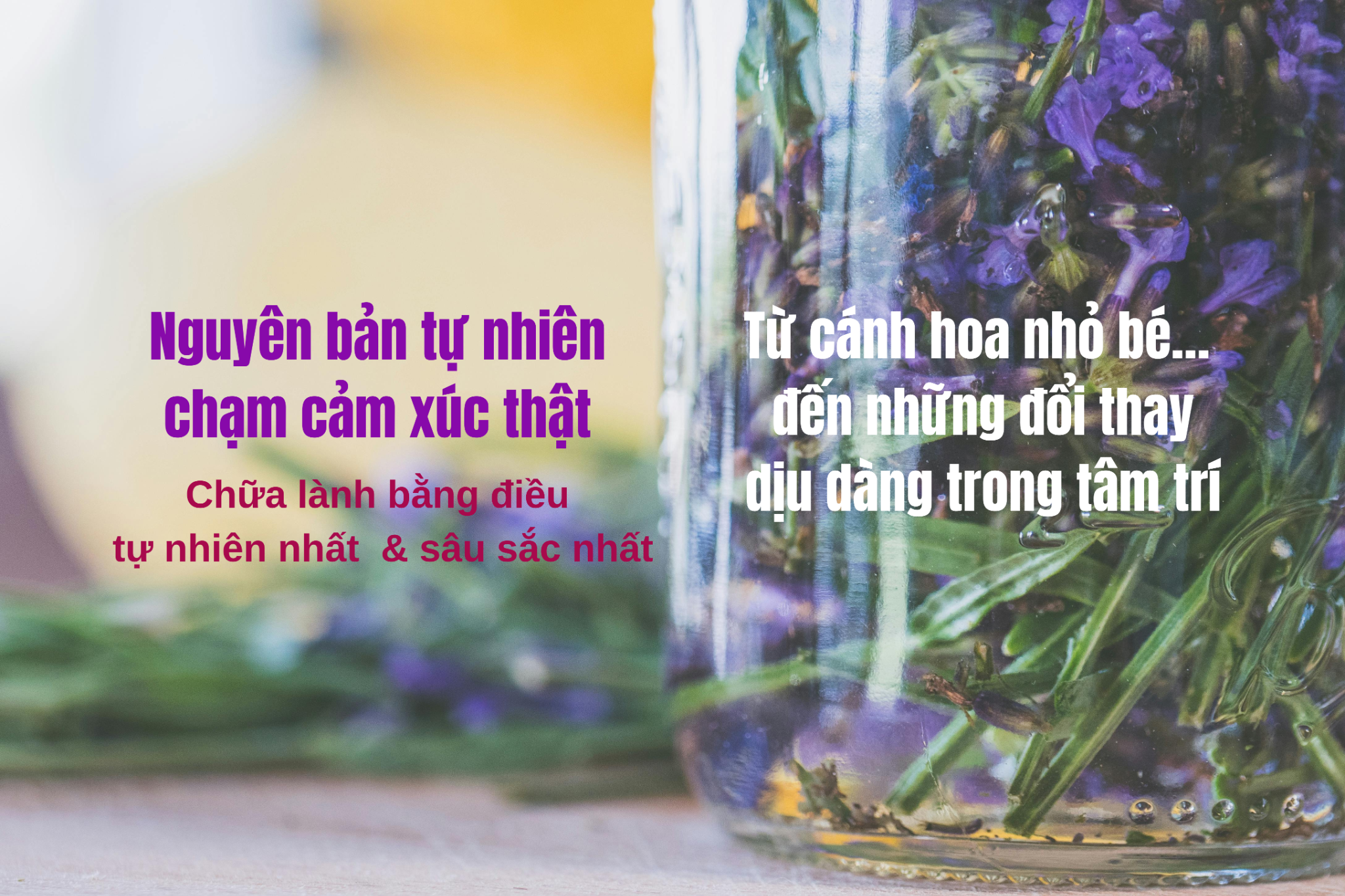 Combo “Năng Lượng Phong Thủy Hương Thơm” Nâng Cao – Đánh Thức Trường Khí Mạnh Mẽ