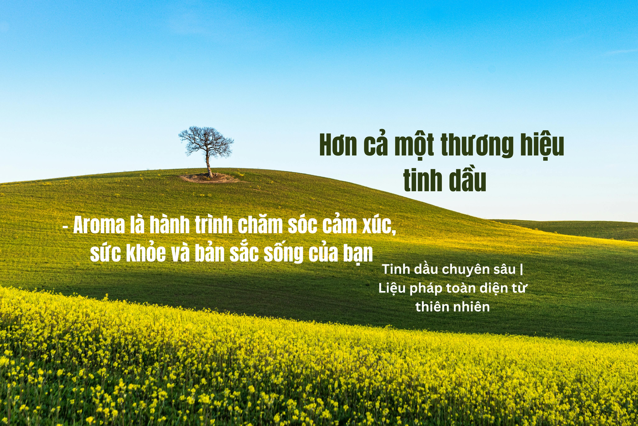 Bộ quà Phong Thủy Hương Thơm – Tinh dầu & sách trị liệu năng lượng