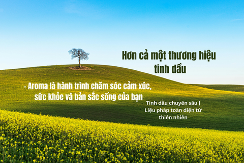 Bộ quà Phong Thủy Hương Thơm – Tinh dầu & sách trị liệu năng lượng