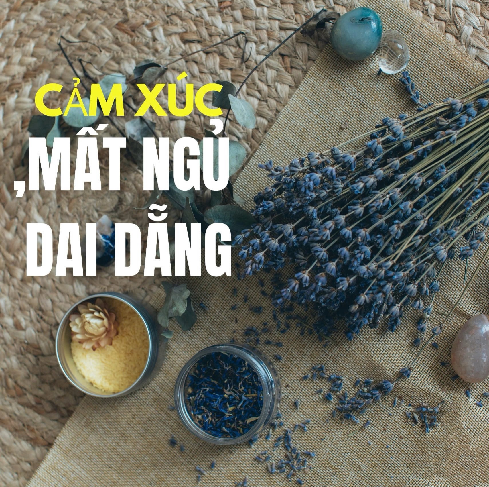Mất Ngủ Dai Dẳng – Đừng Chống Lại Giấc Ngủ, Hãy Chữa Lành Mỗi Tối Bằng Mùi Hương
