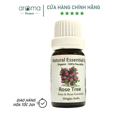 Tinh Dầu Thiên Nhiên Hồng Leo - Rose Tree Essential Oil - tinh dầu xông nhà, tinh dầu thơm nhà